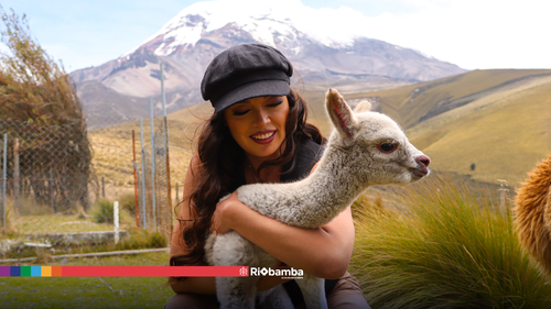 chimborazo.png