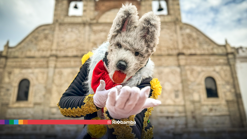 perro.png